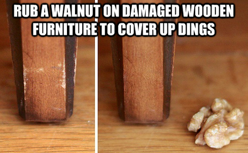 walnut